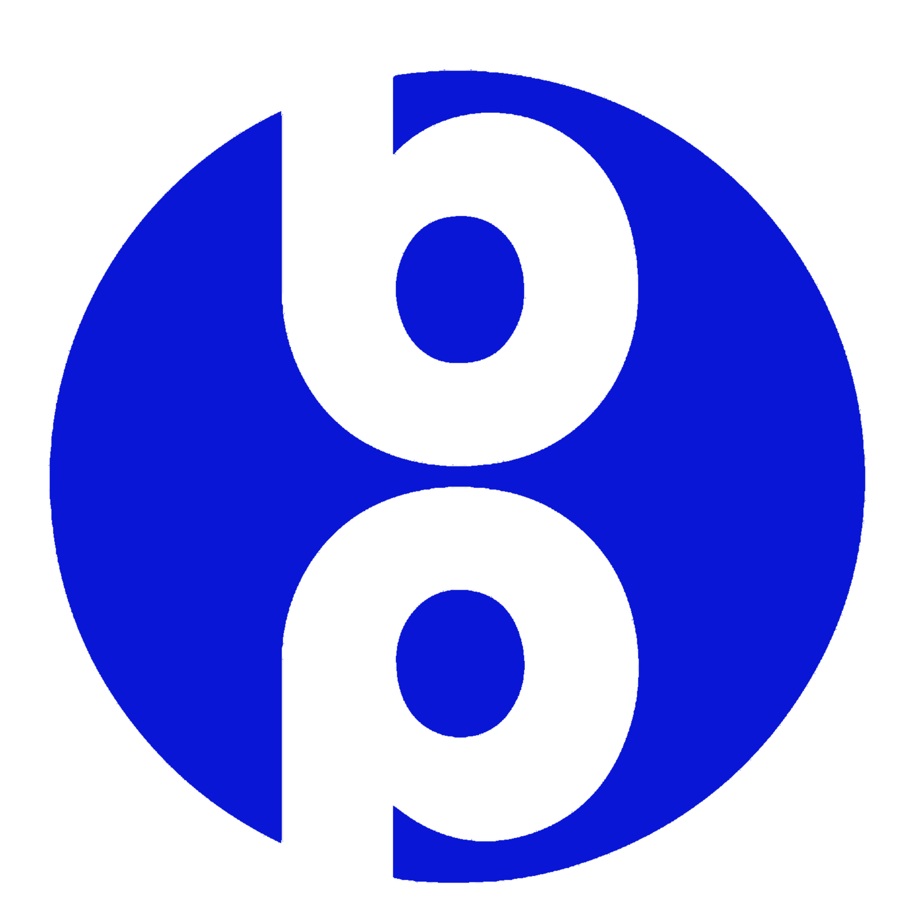 Blimp Pay Landing Page